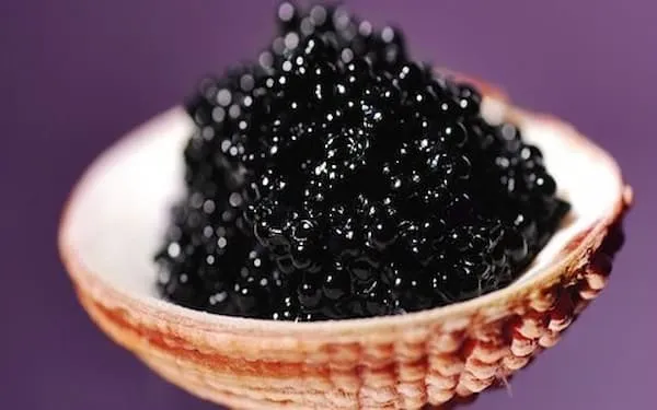 قیمت خرید خاویار بلوگا امپریال + طرز تهیه
