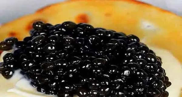قیمت خرید خاویار بلوگا امپریال + طرز تهیه