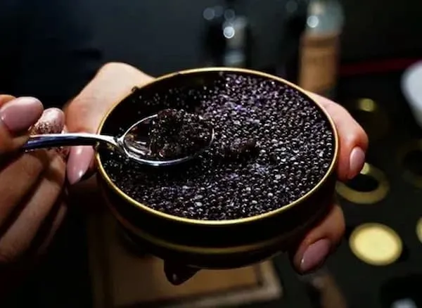 قیمت خرید خاویار بلوگا امپریال + طرز تهیه